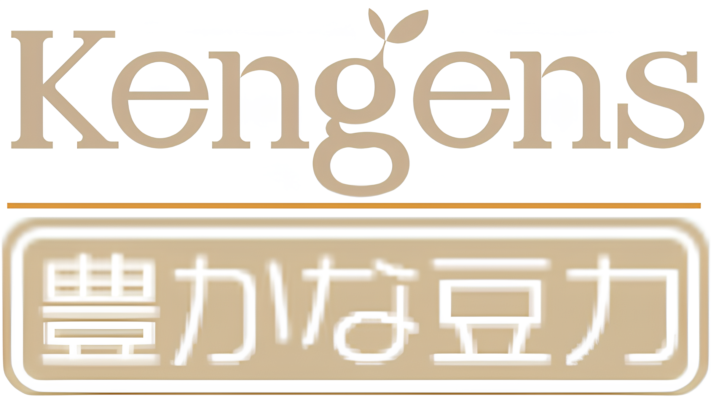 トップページへ戻る